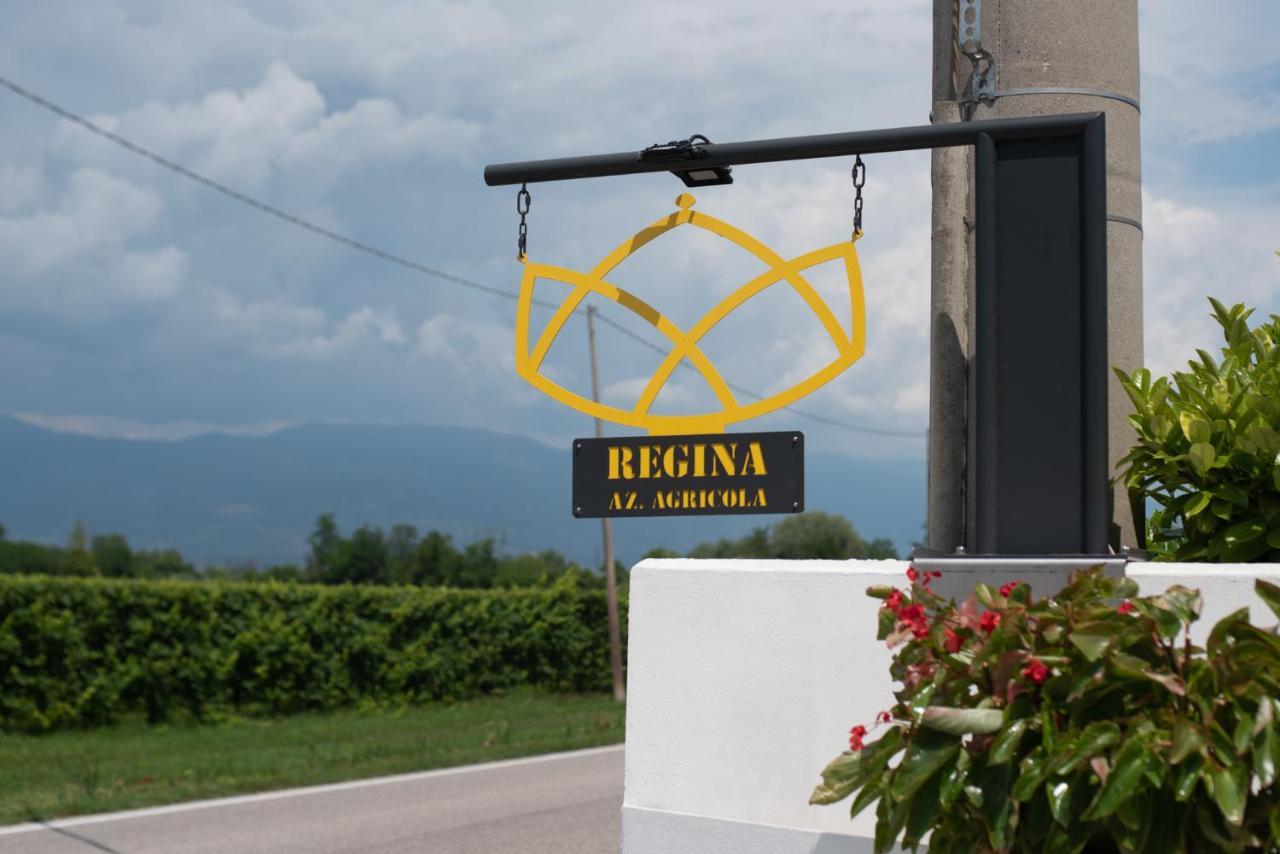 Regina Nel Cuore Del Veneto Codognè Exterior foto